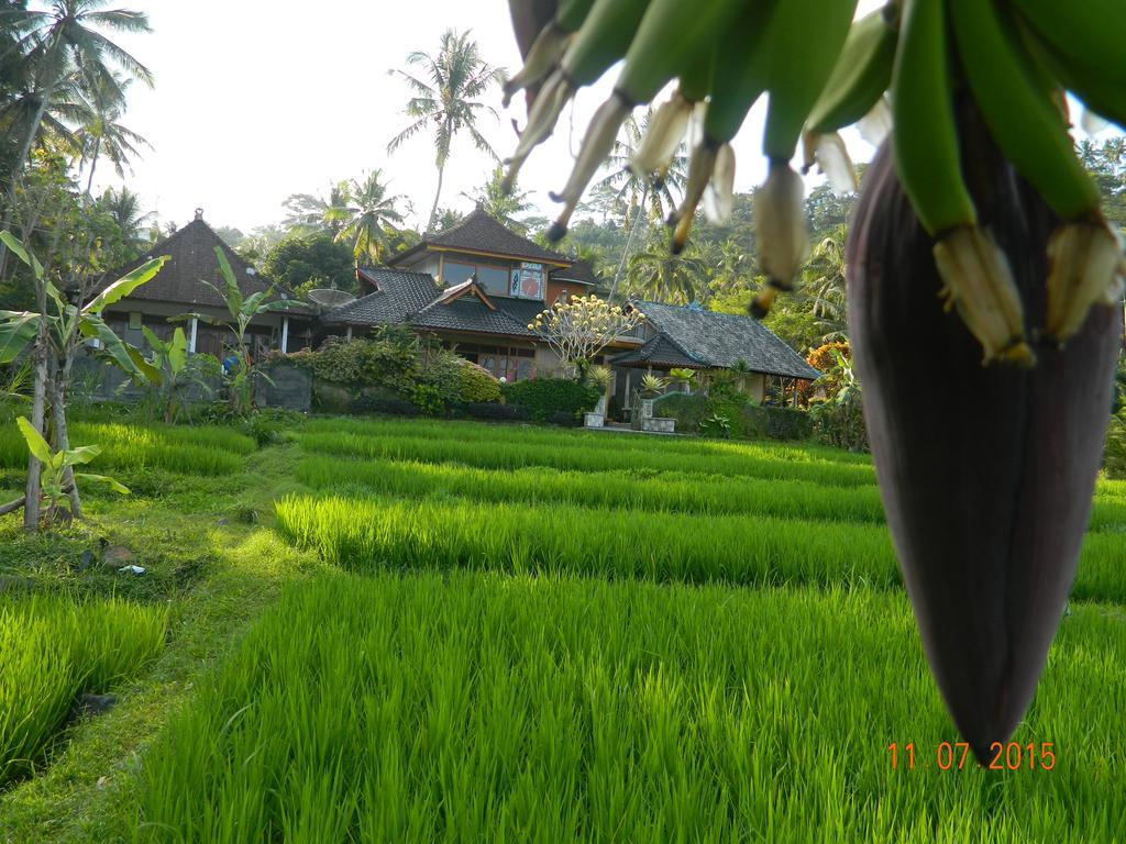 Dau Homestay Karangasem Eksteriør bilde